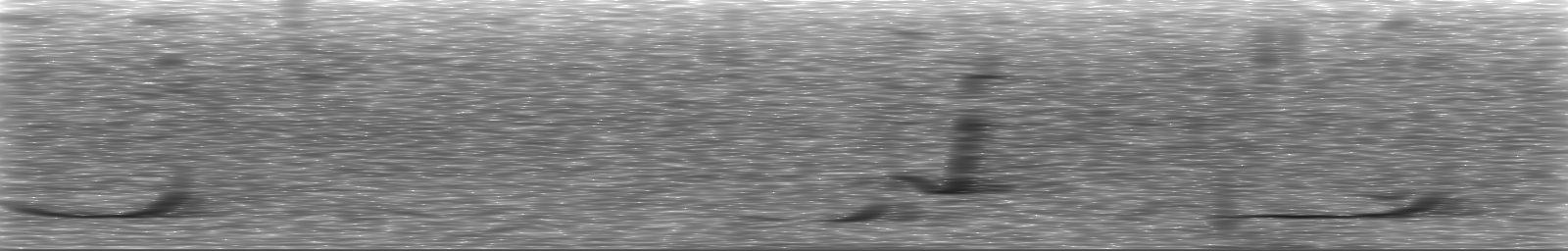 [Loading Spectrogram]