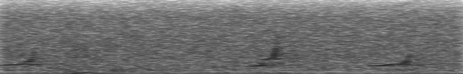 [Loading Spectrogram]