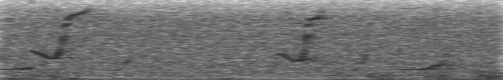 [Loading Spectrogram]