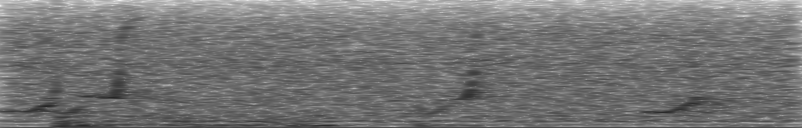 [Loading Spectrogram]