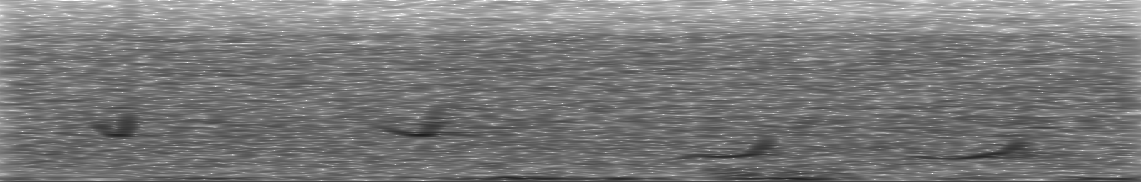 [Loading Spectrogram]