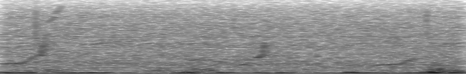 [Loading Spectrogram]