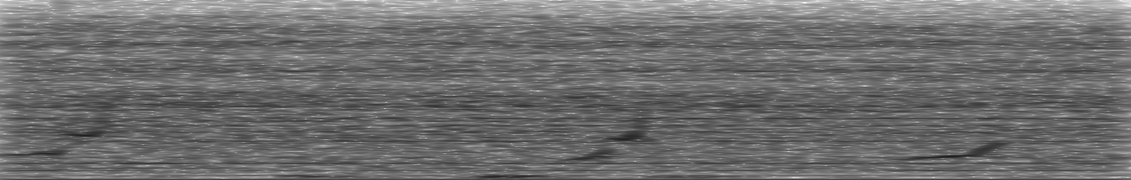 [Loading Spectrogram]