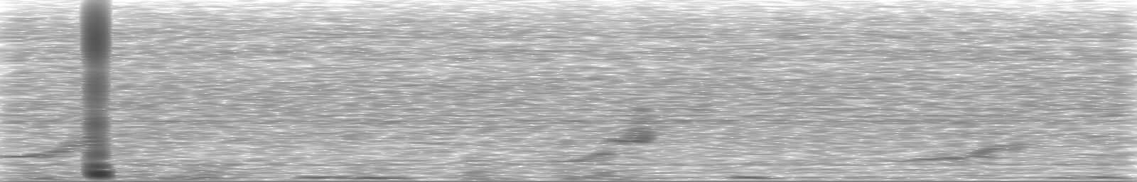 [Loading Spectrogram]