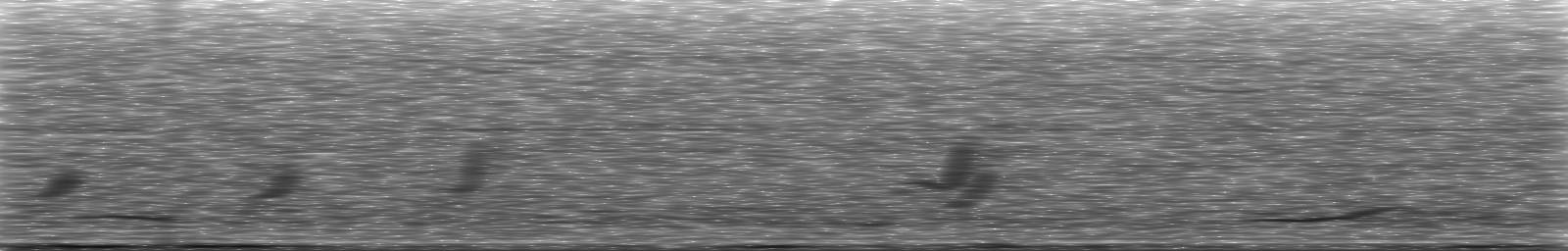 [Loading Spectrogram]