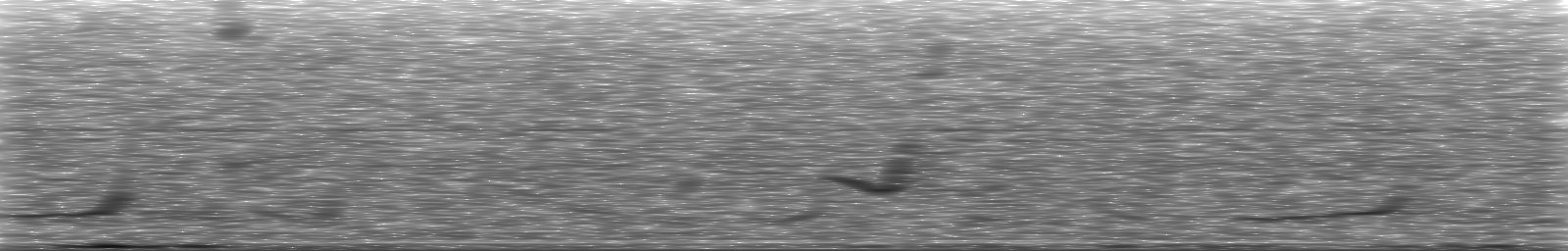 [Loading Spectrogram]