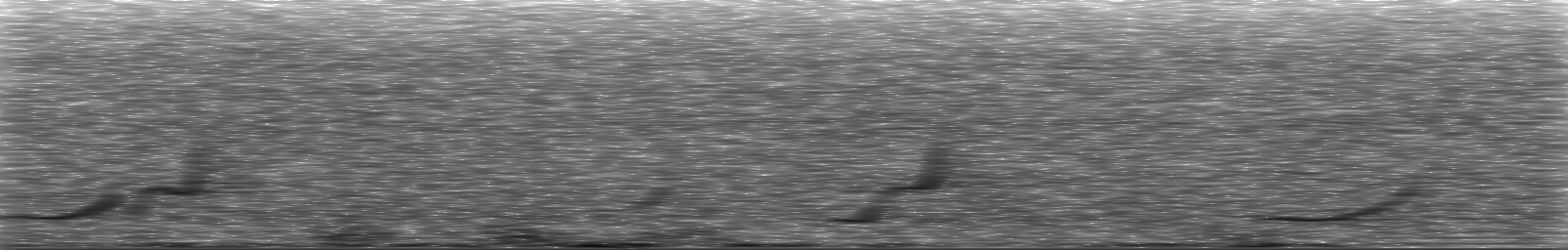 [Loading Spectrogram]