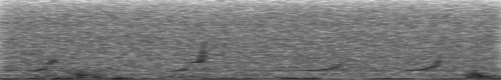 [Loading Spectrogram]