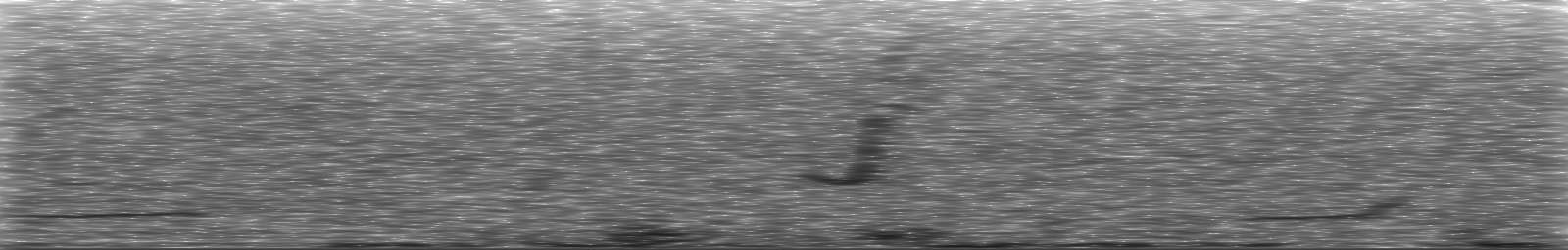 [Loading Spectrogram]