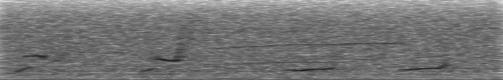 [Loading Spectrogram]