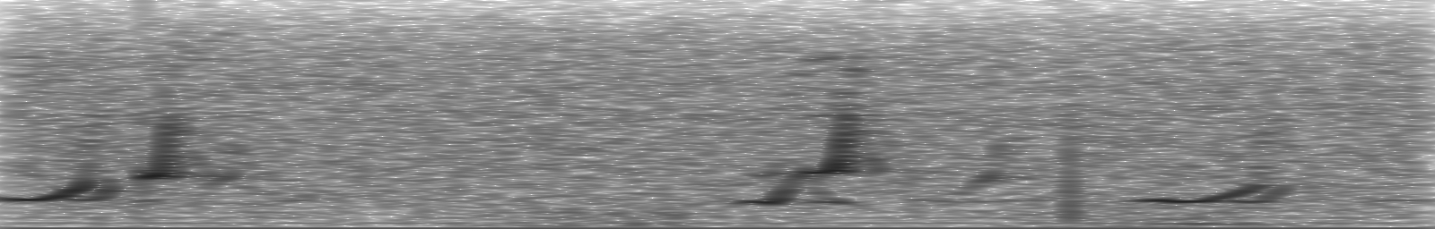 [Loading Spectrogram]