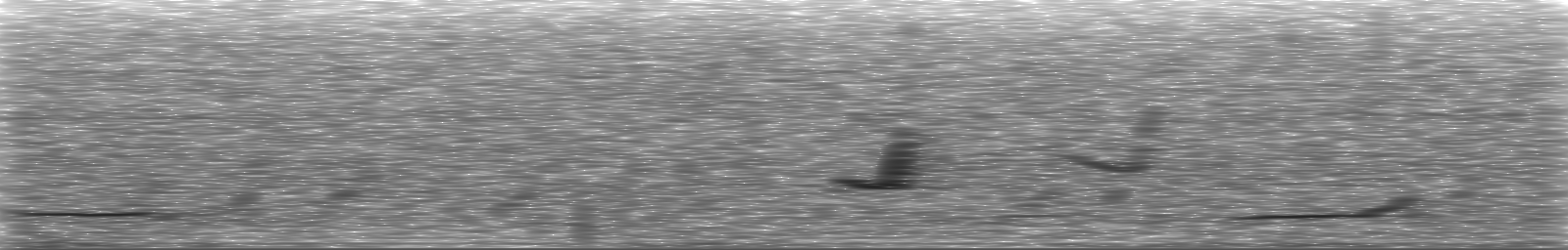 [Loading Spectrogram]