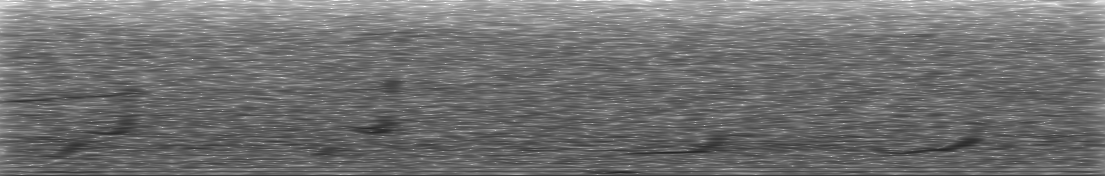 [Loading Spectrogram]