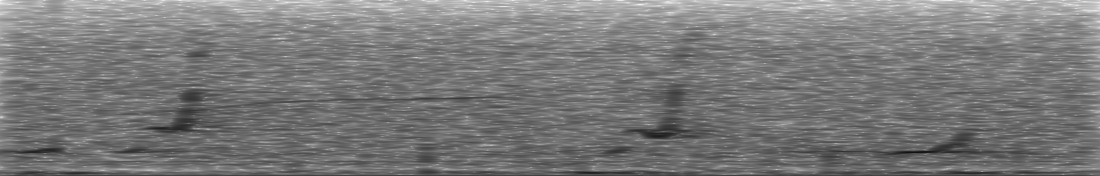 [Loading Spectrogram]