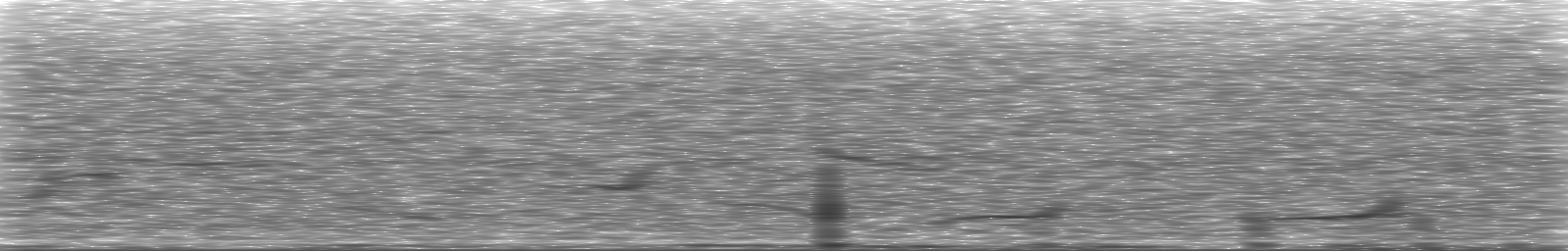 [Loading Spectrogram]