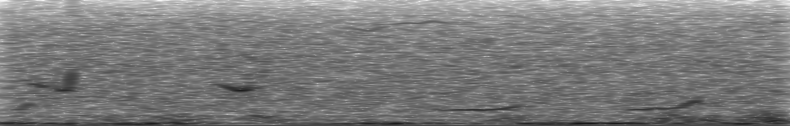 [Loading Spectrogram]