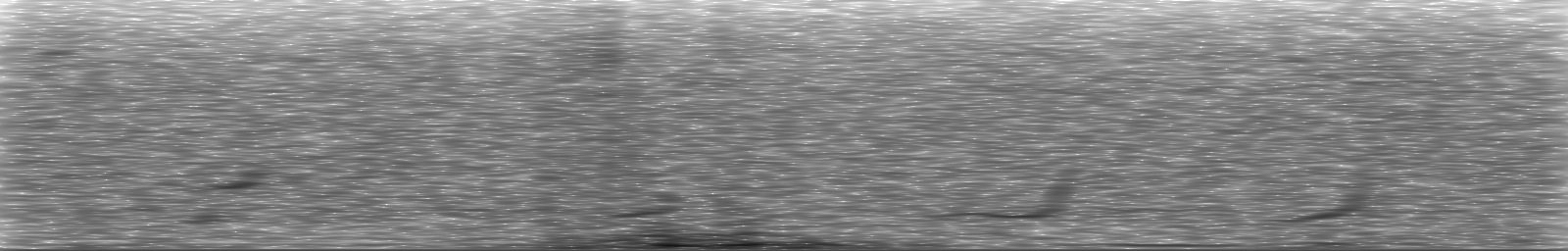 [Loading Spectrogram]