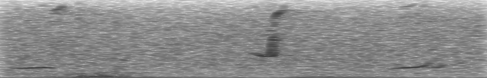 [Loading Spectrogram]