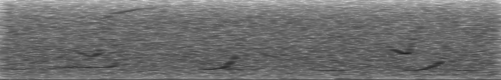 [Loading Spectrogram]