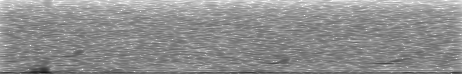 [Loading Spectrogram]