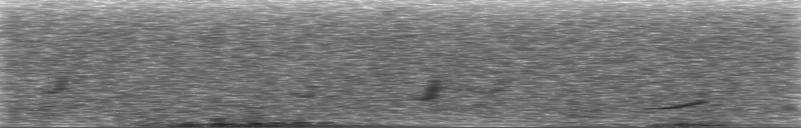 [Loading Spectrogram]