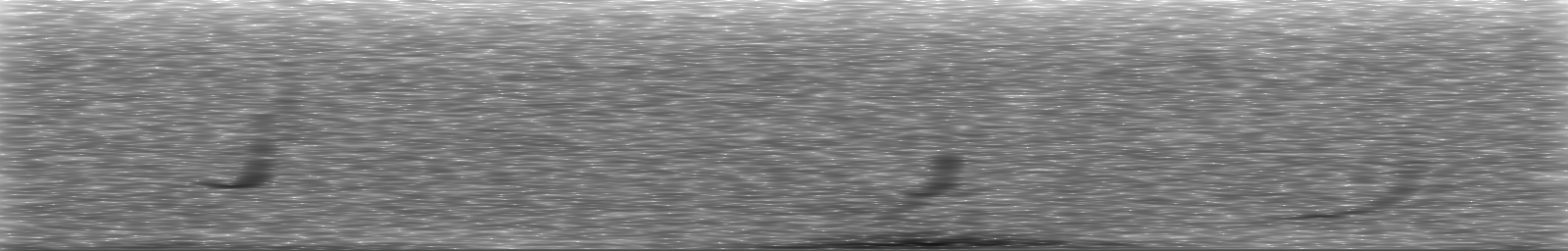 [Loading Spectrogram]