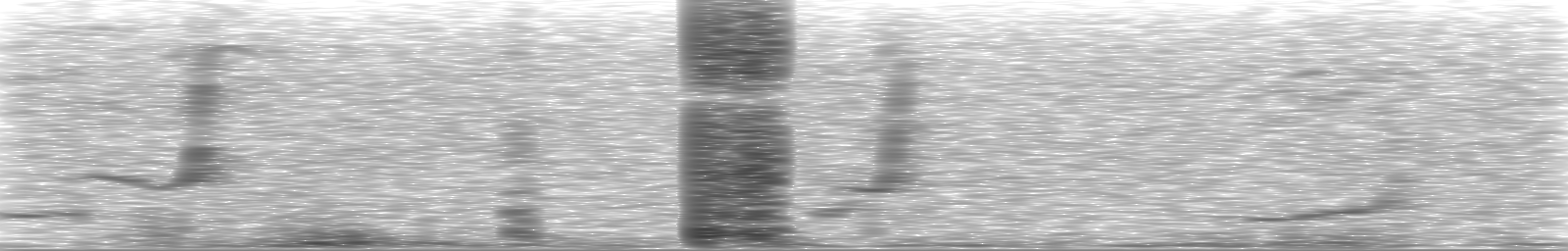 [Loading Spectrogram]