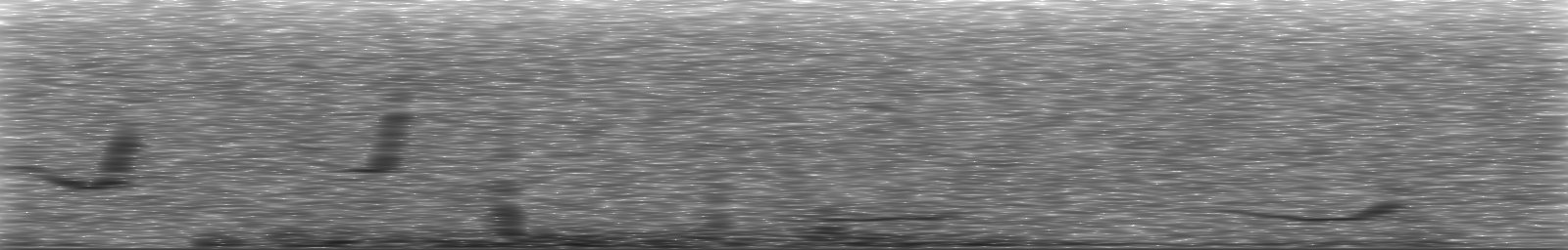 [Loading Spectrogram]