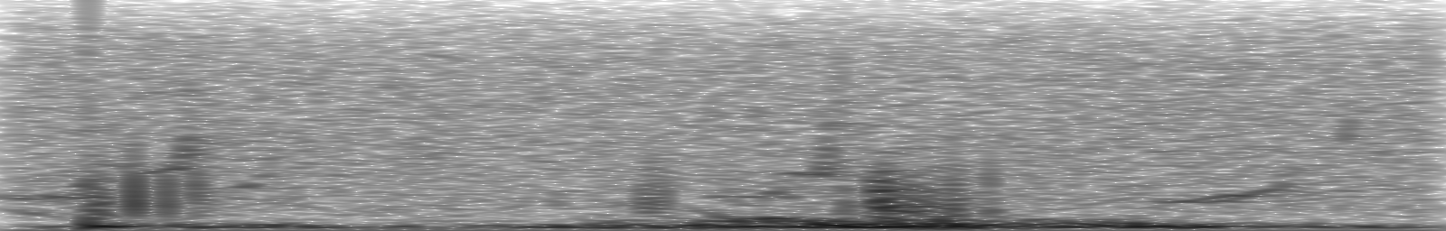 [Loading Spectrogram]