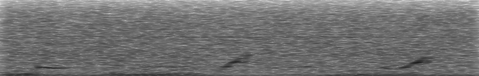 [Loading Spectrogram]