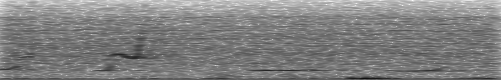 [Loading Spectrogram]