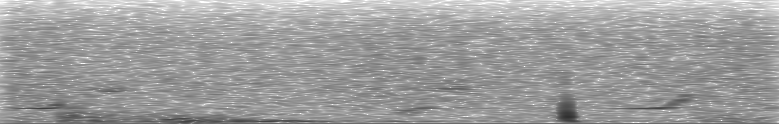 [Loading Spectrogram]