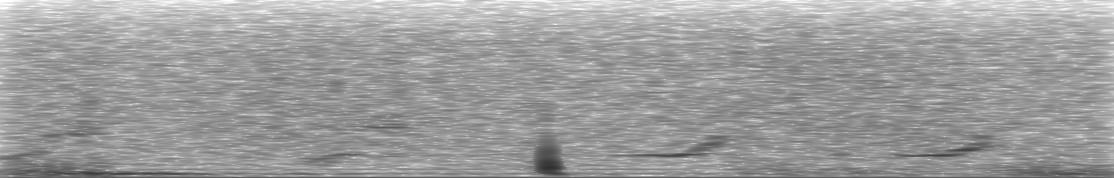 [Loading Spectrogram]