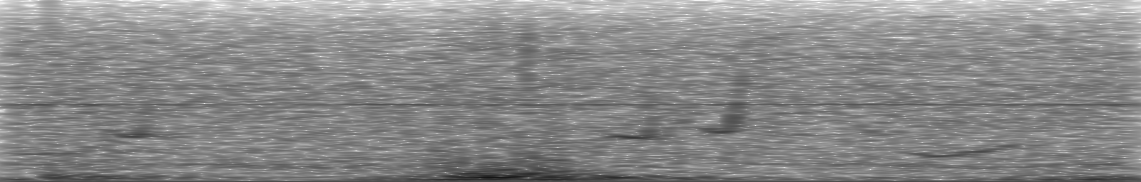 [Loading Spectrogram]