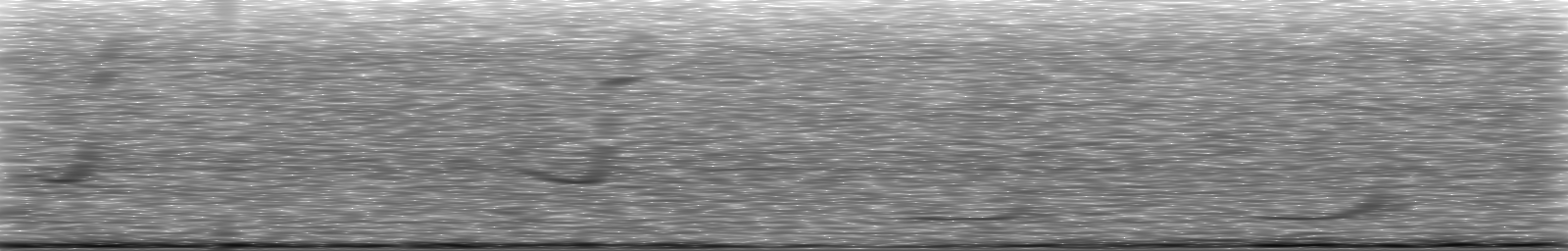 [Loading Spectrogram]