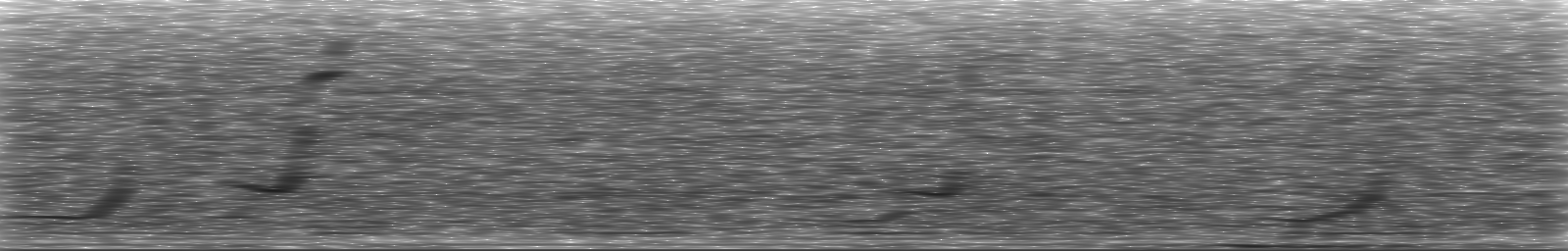 [Loading Spectrogram]