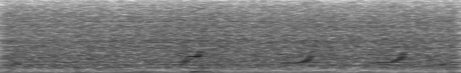 [Loading Spectrogram]