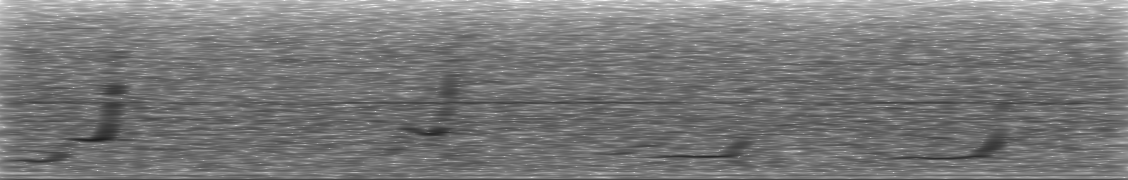 [Loading Spectrogram]