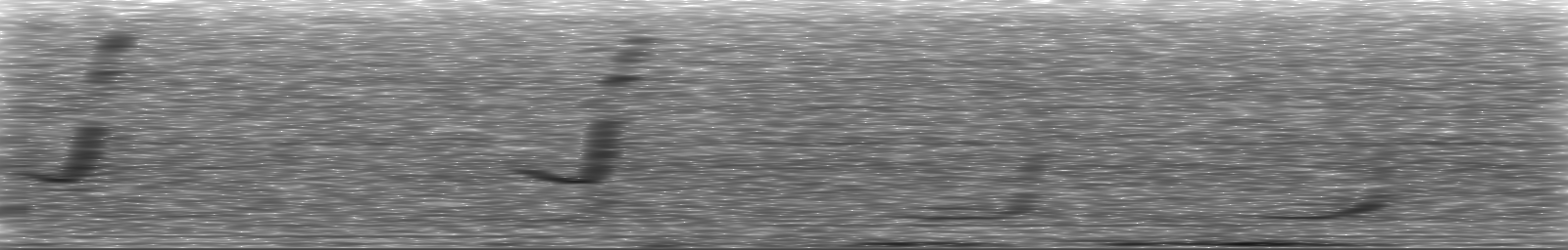 [Loading Spectrogram]