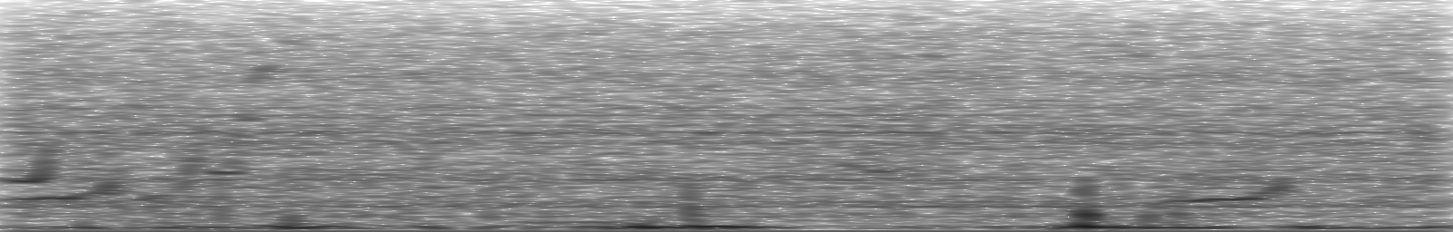 [Loading Spectrogram]