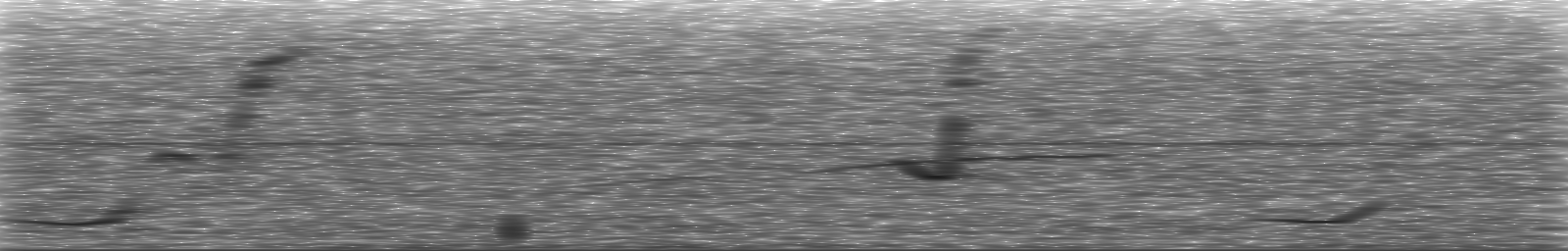 [Loading Spectrogram]