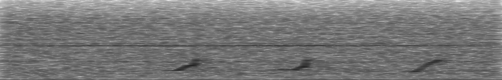 [Loading Spectrogram]