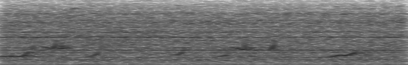 [Loading Spectrogram]