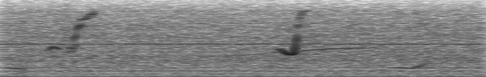 [Loading Spectrogram]