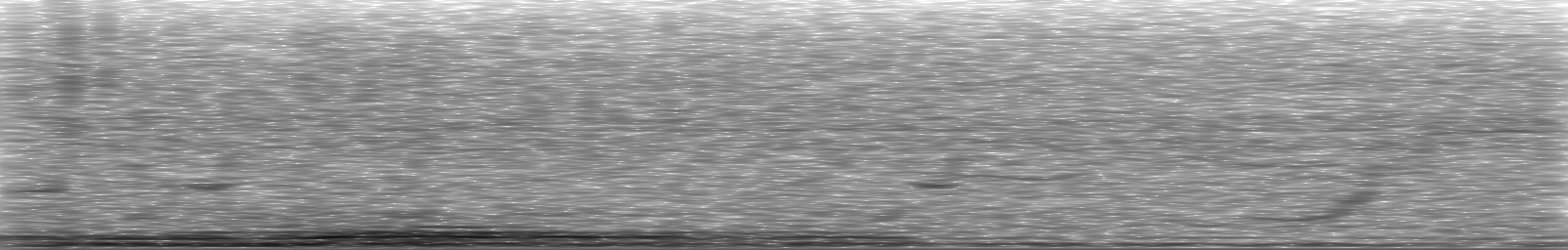 [Loading Spectrogram]