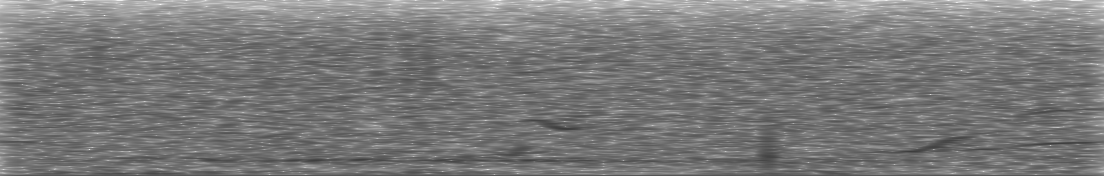 [Loading Spectrogram]