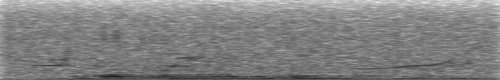 [Loading Spectrogram]