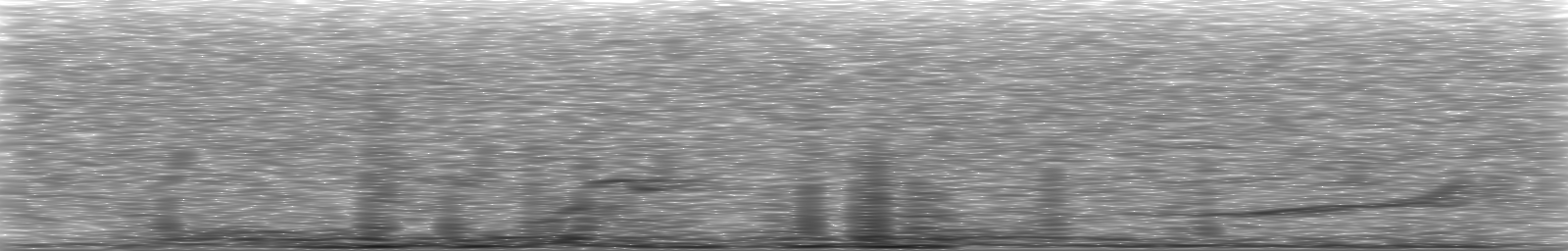 [Loading Spectrogram]