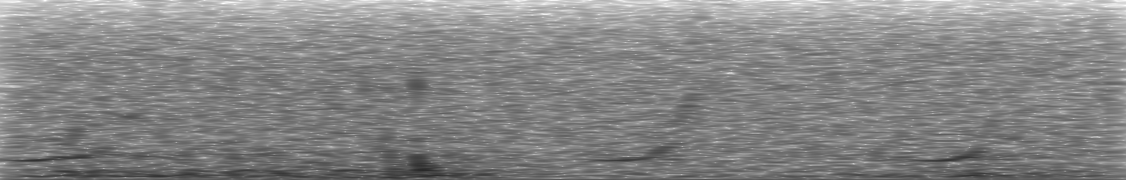 [Loading Spectrogram]