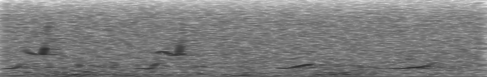 [Loading Spectrogram]